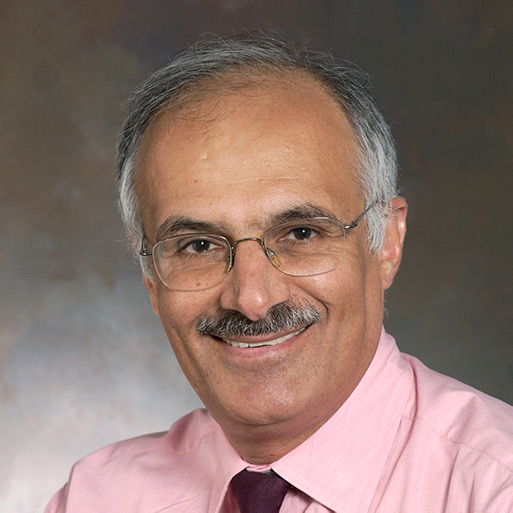 Sohail Dianat